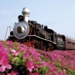 O papel da iniciativa pública no turismo