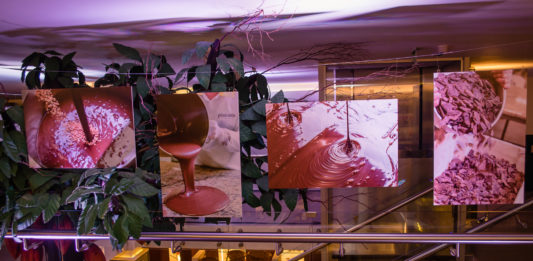 Salton apresenta a exposição Alma do Chocolate