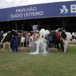 Granja Du Anjo e Belvedere é campeã do Concurso Leiteiro