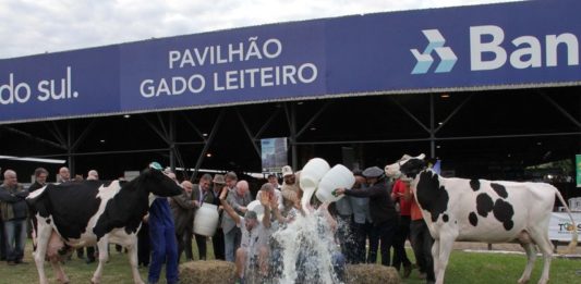 Granja Du Anjo e Belvedere é campeã do Concurso Leiteiro