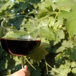 Vale dos Vinhedos participa do Dia do Vinho