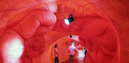 Hospital Tacchini leva intestino gigante para a ExpoBento