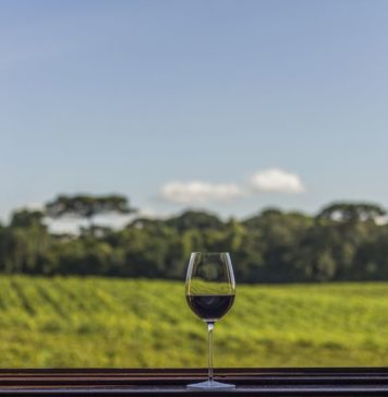 Vinícolas brasileiras têm 50% de desconto na inscrição do Congresso Latino-Americano de Enoturismo