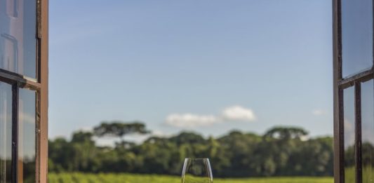 Vinícolas brasileiras têm 50% de desconto na inscrição do Congresso Latino-Americano de Enoturismo