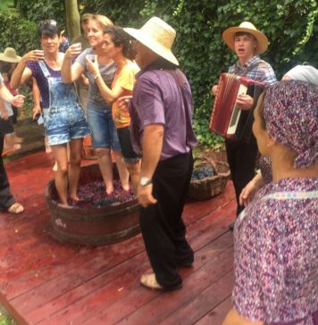 Serra Gaúcha recebe 7º Congresso Latino-Americano de Enoturismo