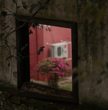 FSG é apoiadora cultural de concurso fotográfico sobre Caxias do Sul