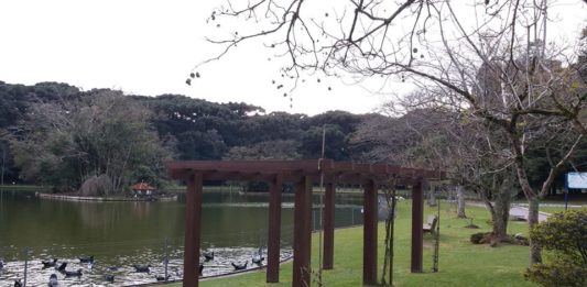 Sol volta a aparecer com tarde agradável nesta quinta-feira no RS