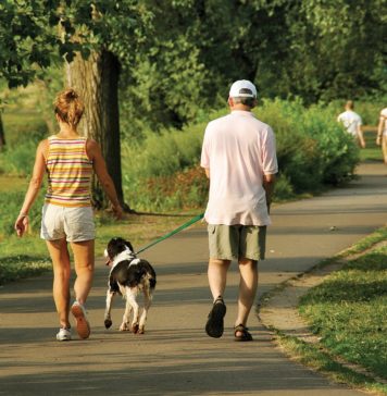 Meia hora de exercício por dia pode evitar câncer