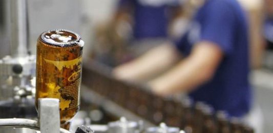 Curso inédito de Cervejaria Cigana terá vagas limitadas em Caxias do Sul