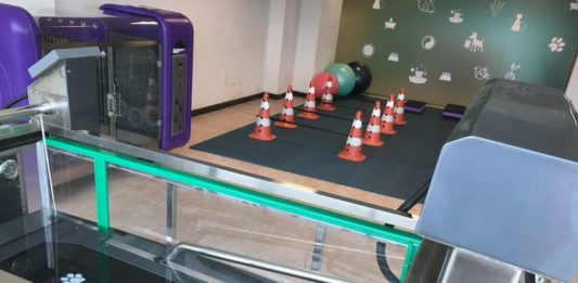 1º Centro de Reabilitação e Terapias Naturais para Pets da Serra Gaúcha inaugura em Caxias do Sul