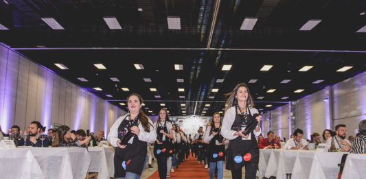 Avaliação Nacional de Vinhos: Corrida ao Oscar dos vinhos brasileiros