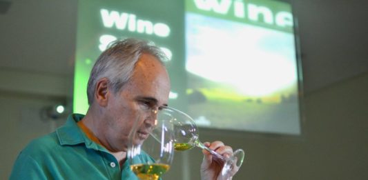 Sommeliers mostram o melhor dos vinhos brasileiros na Wine South America