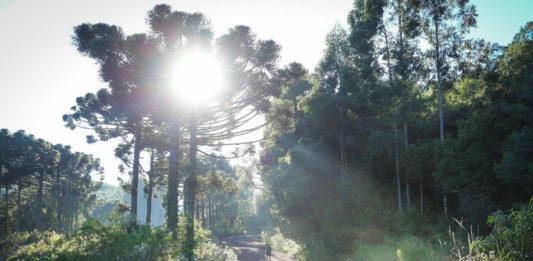 Caminhos de Caravaggio: Mais um passo para concretização do novo roteiro da serra gaúcha