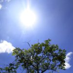 Fim de semana será de muito sol e temperaturas amenas na Serra Gaúcha