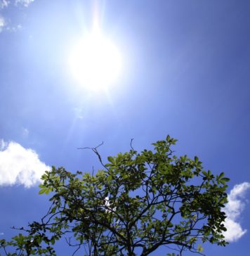 Fim de semana será de muito sol e temperaturas amenas na Serra Gaúcha