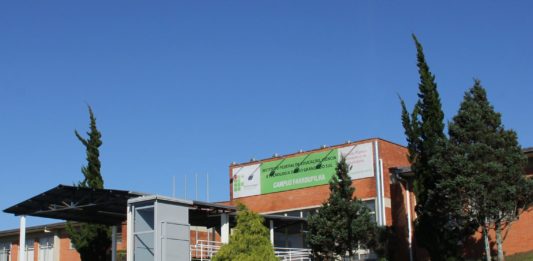 IFRS - Campus Farroupilha ganha conceito máximo no Enade