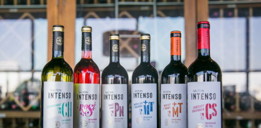 Salton apresenta novo posicionamento da linha Intenso