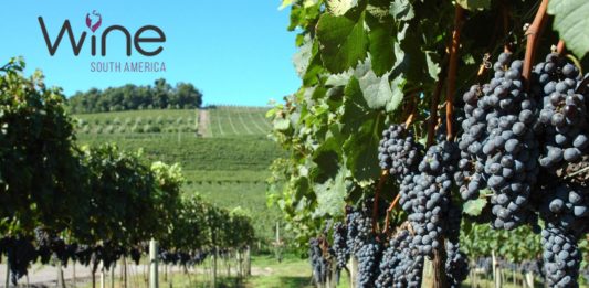 Wine South America: entrevistas exclusivas