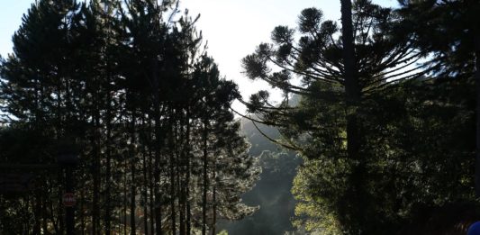 Caminhos de Caravaggio: Pré-lançamento ocorre no Festuris Gramado