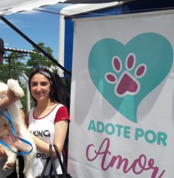 Adote por Amor resulta em mais cinco cães adotados