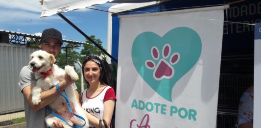 Adote por Amor resulta em mais cinco cães adotados