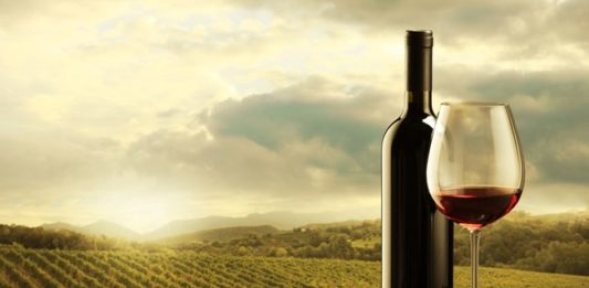 Vinho às Cegas – episódio 3
