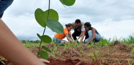 Instituições de ensino de Garibaldi recebem selo Escola Amiga da Natureza