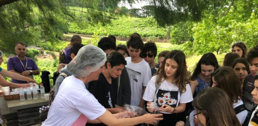 Interior gera oportunidades de negócios em Bento Gonçalves