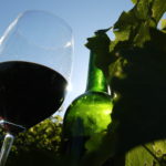 Vinho às Cegas – episódio 2