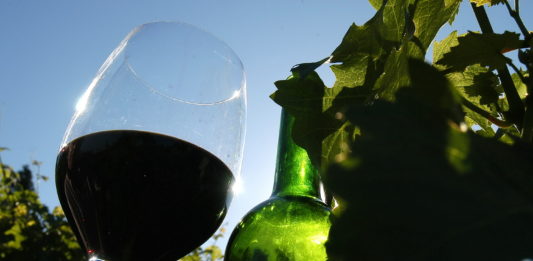 Vinho às Cegas – episódio 2