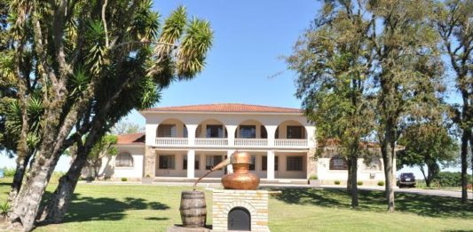 Embrapa Uva e Vinho recebe o Troféu Folha Verde