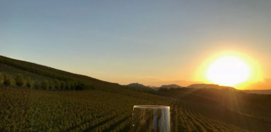Vinho às Cegas – episódio 5