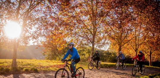 Que tal de bike? leva turistas a  cinco roteiros na Serra Gaúcha