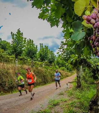 Maratona do Vinho reunirá mais de mil corredores