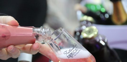 Farroupilha é oficialmente Capital Nacional do Moscatel
