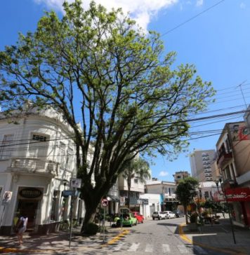 Rua Júlio de Castilhos em Farroupilha será fechada aos domingos para lazer