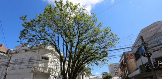 Rua Júlio de Castilhos em Farroupilha será fechada aos domingos para lazer