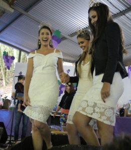 Festa da Vindima de Marcorama trouxe novidades neste ano