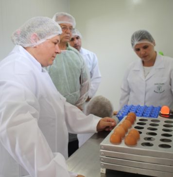 Agroindústria de ovos de Bento Gonçalves é referência para Nova Petrópolis