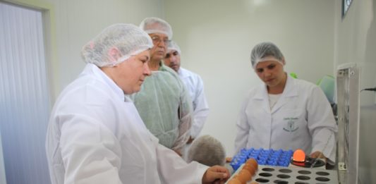 Agroindústria de ovos de Bento Gonçalves é referência para Nova Petrópolis