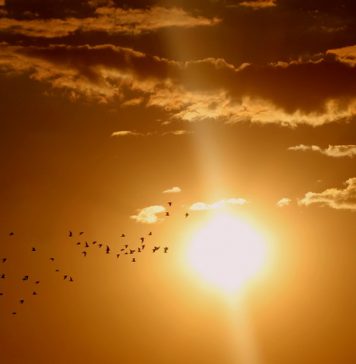 Horário de Verão termina a meia-noite do sábado