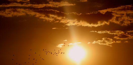 Horário de Verão termina a meia-noite do sábado