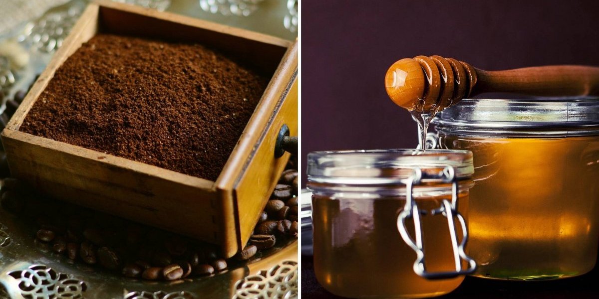 5 esfoliantes naturais capazes de fazer sua pele se sentir como nova