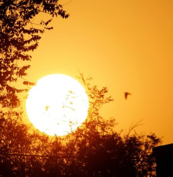 Ser uma pessoa diurna ou noturna pode estar relacionado aos genes