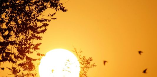 Ser uma pessoa diurna ou noturna pode estar relacionado aos genes