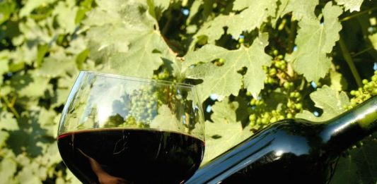 Vinho às Cegas – 10º episódio