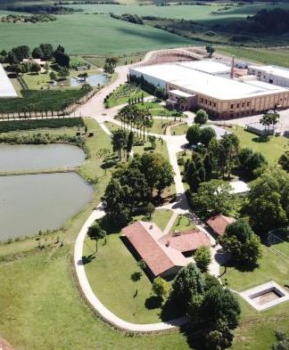 Com investimento de R$ 30 milhões, Vacaria terá vinícola e museu do vinho