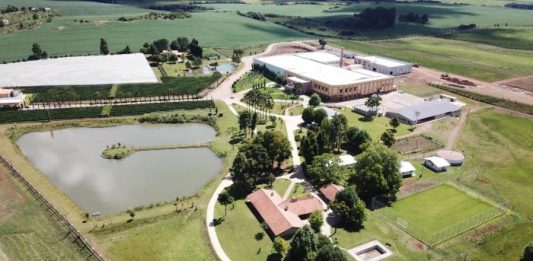 Com investimento de R$ 30 milhões, Vacaria terá vinícola e museu do vinho