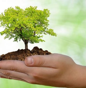 Encontro irá debater o futuro do meio ambiente em Bento Gonçalves