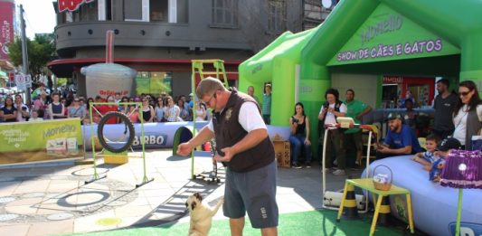 4ª edição do Eu Amo Bicho acontece no dia 06 de abril em Bento Gonçalves